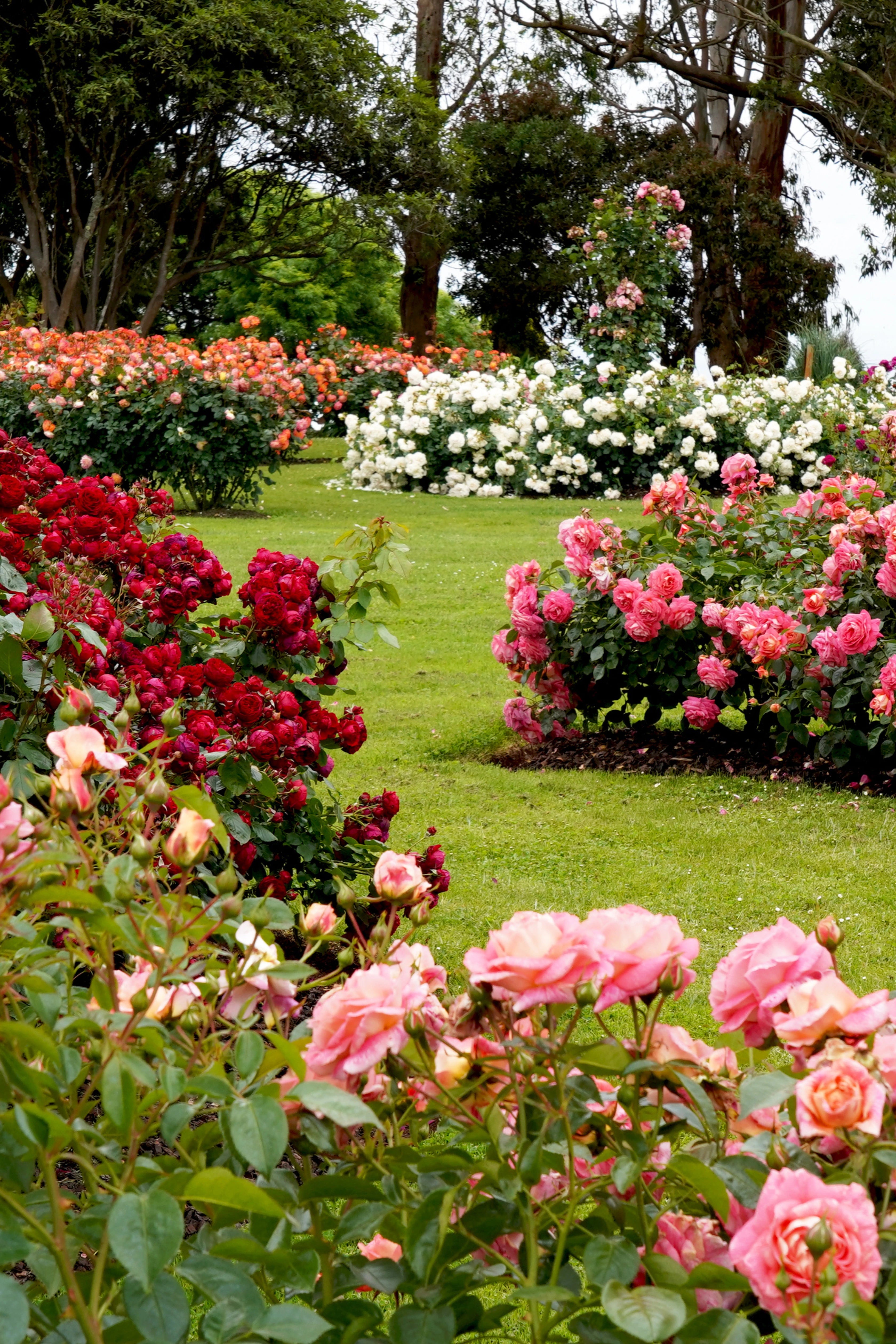 Livraison express avec suivi partout en France.