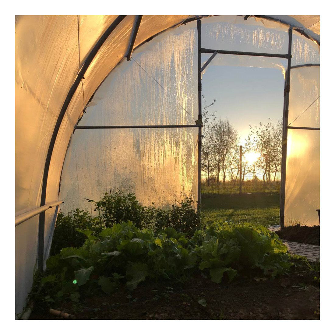 Serre Tunnel de Jardin 28M² avec 2 Portes - LONGO
